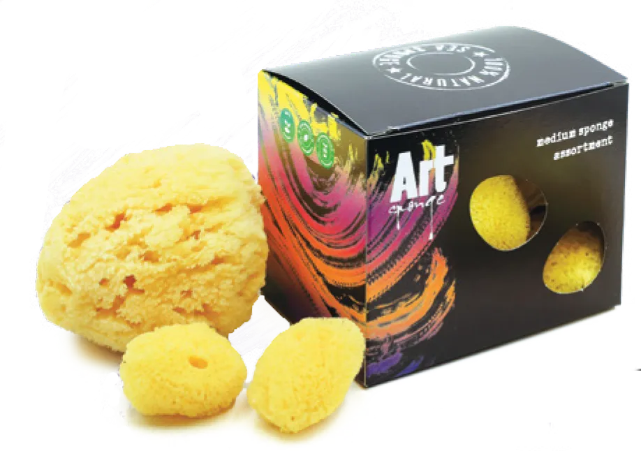 Medium sponge assortment